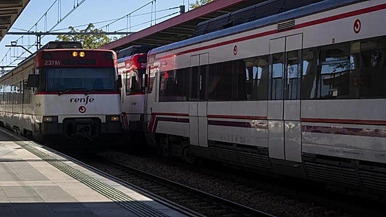 Freak accident involving cow on railway track leads to chance discovery of homeless man's body