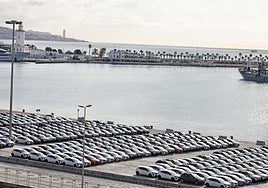 New car imports, waiting at quay 4 for transfer to dealerships and customers.