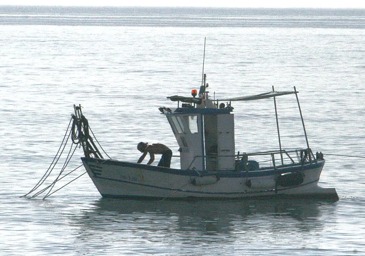 Imagen principal - These are the shellfish species that have disappeared from the Costa del Sol&#039;s coastline: &#039;It is a disaster&#039;