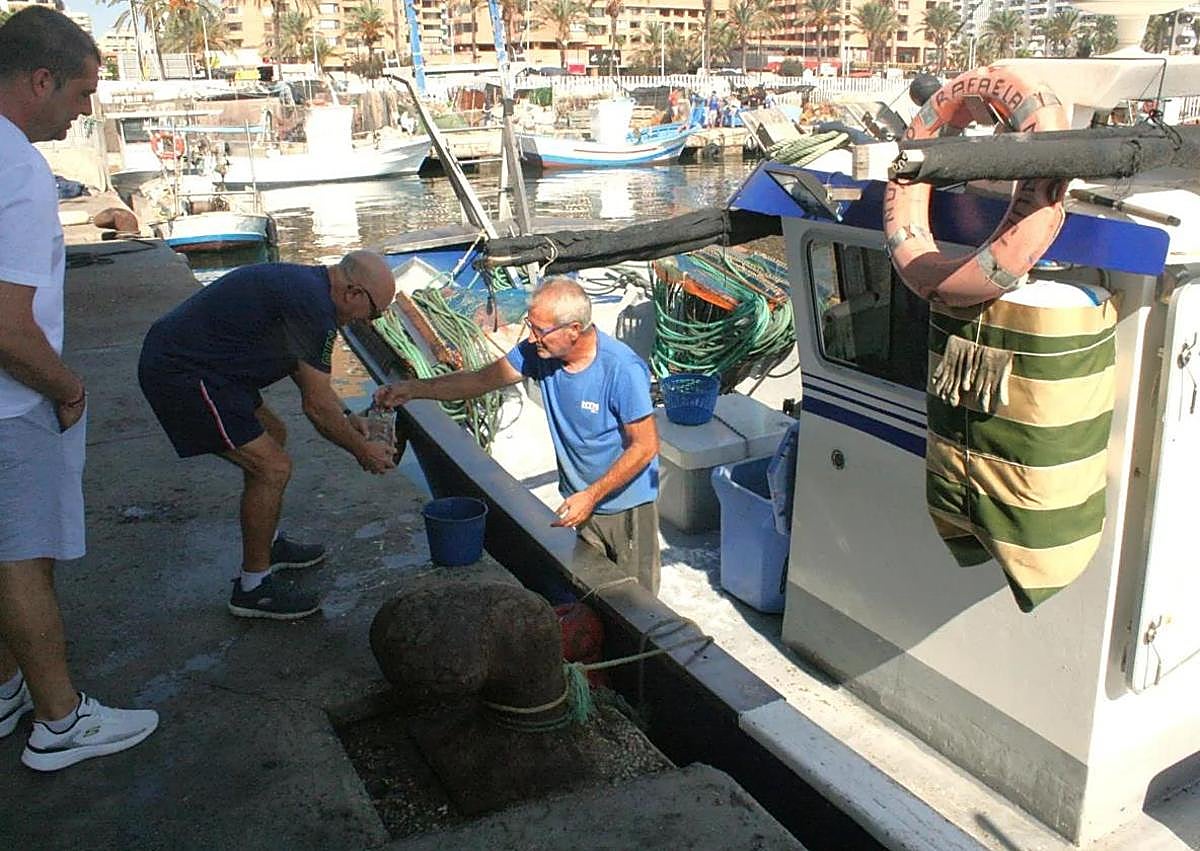 Imagen secundaria 1 - These are the shellfish species that have disappeared from the Costa del Sol&#039;s coastline: &#039;It is a disaster&#039;