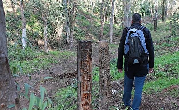 Through El Bosque Mágico de Malaga.
