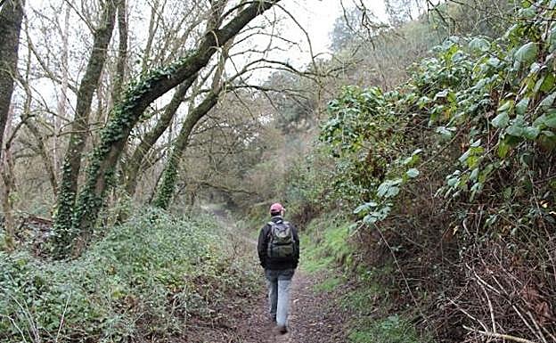 Hike that joins to Arroyo Marín, in Archidona.