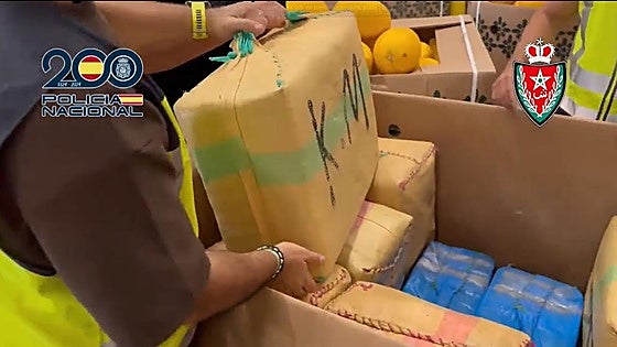 Ten suspects arrested in Malaga and Algeciras after police seize 11 tonnes of hashish hidden among melons and furniture
