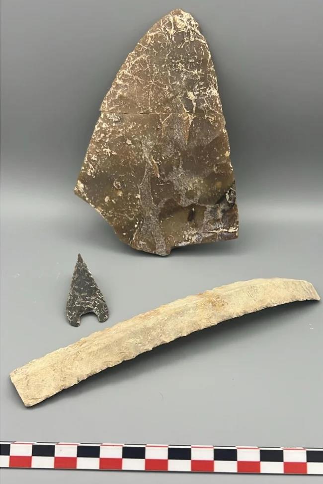 The large halberd that reaches 15 centimetres in length.