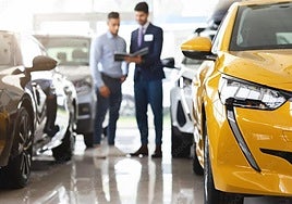 Purchases by private individuals feature strongly for the September and year-to-date totals.