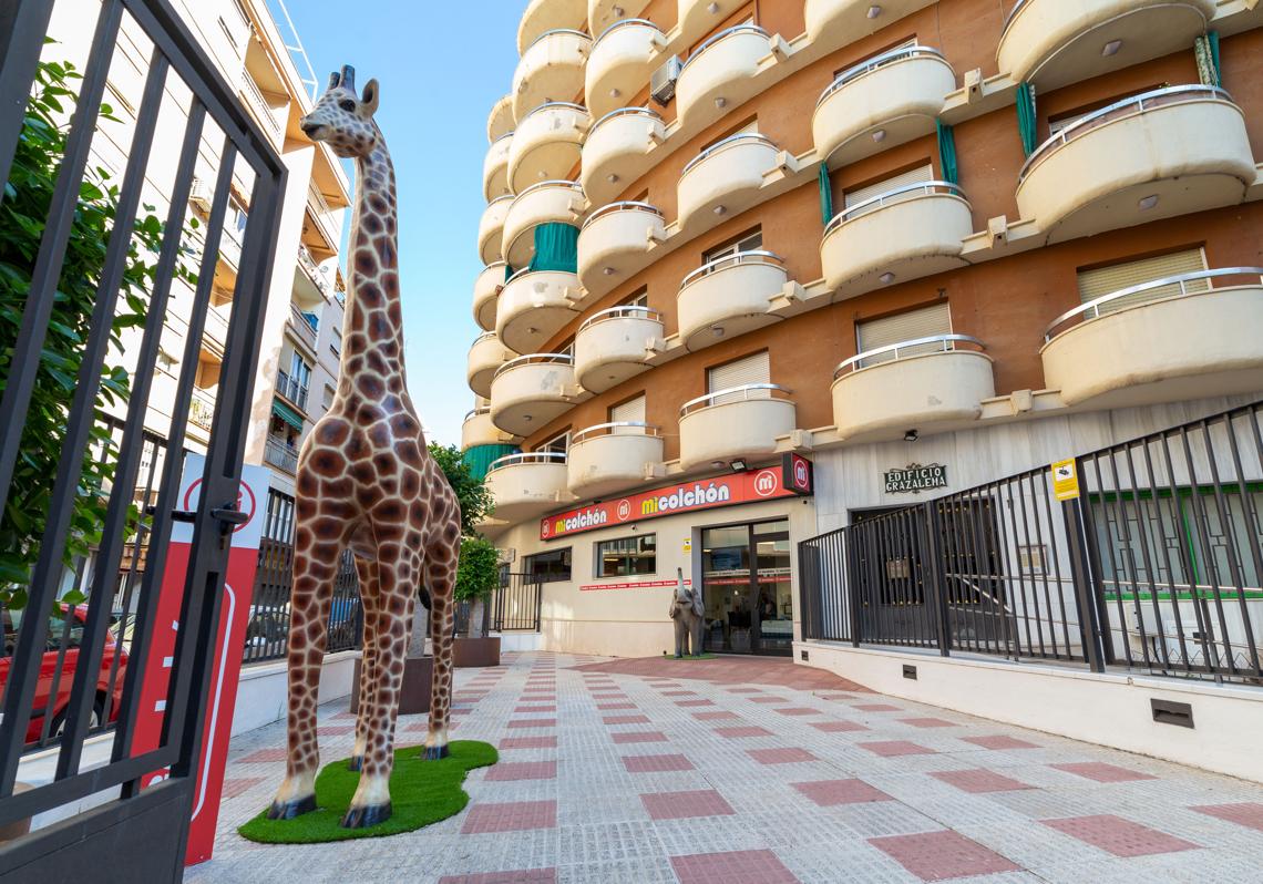 Imagen después - Malaga, a city centre unrecognisable 40 years on