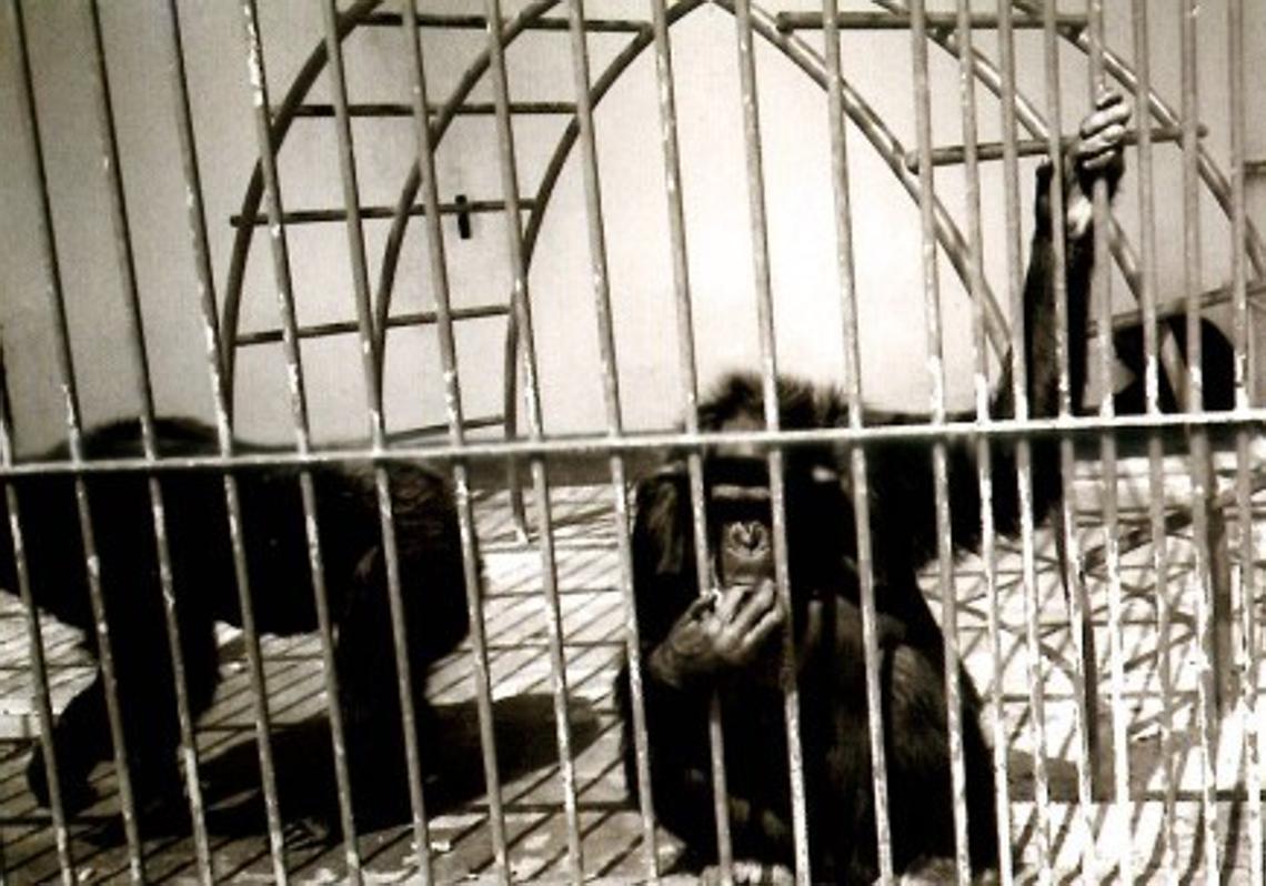 Imagen antes - Holiday home favourites, then and now: Marbella, Mijas and Fuengirola