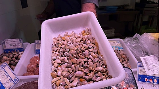 Why are 'coquinas' clams so expensive on the Costa del Sol?