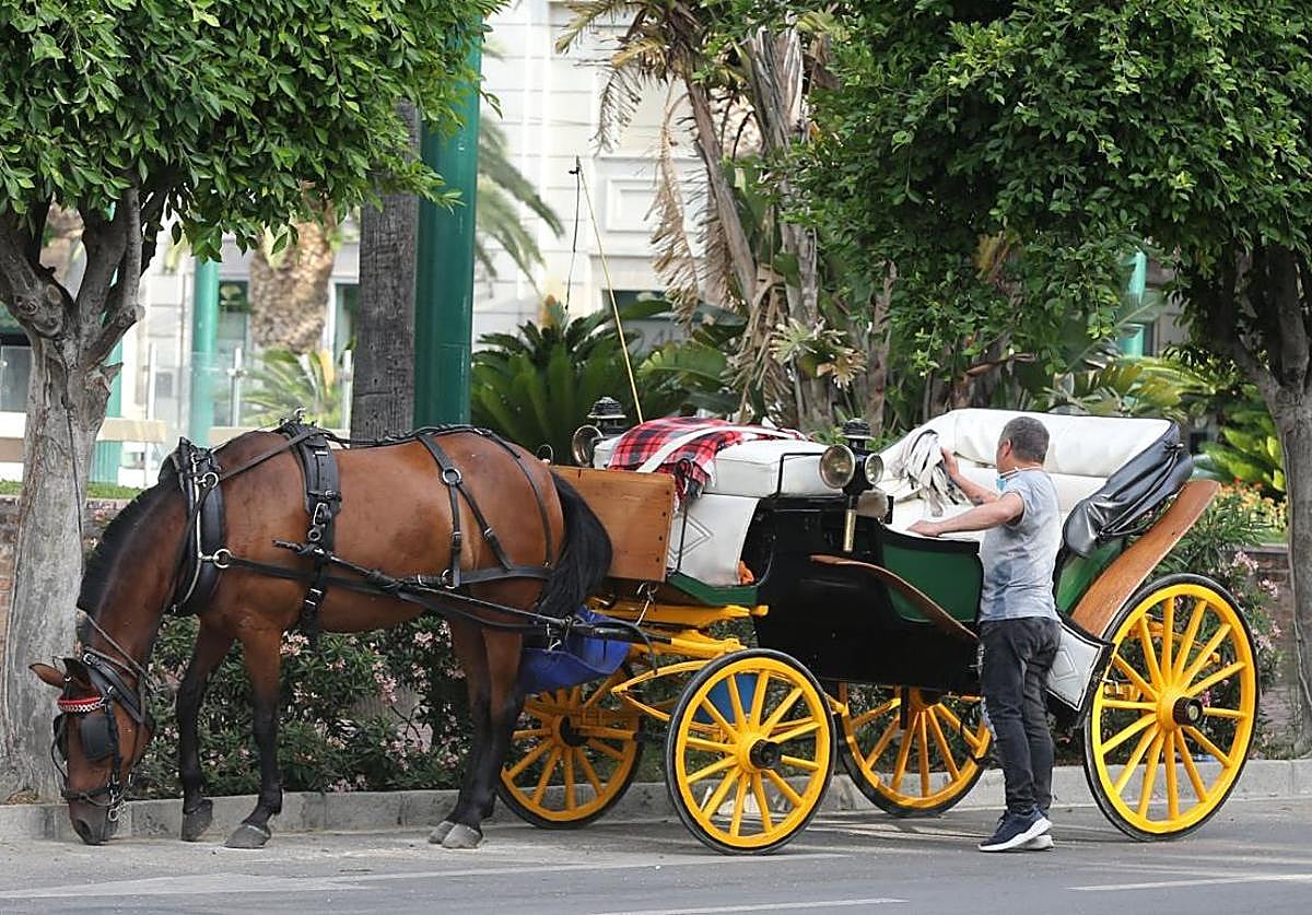 End of road for horse-drawn carriage rides for tourists in Malaga