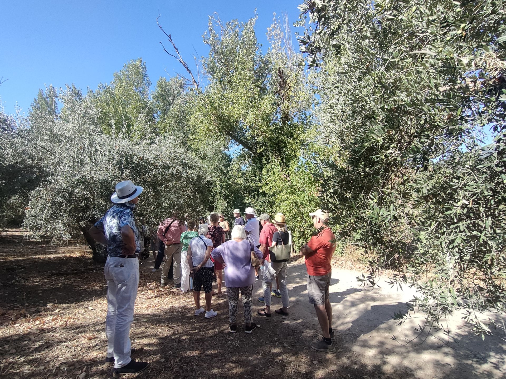 Discovering the delights of Cordoba&#039;s Subbética