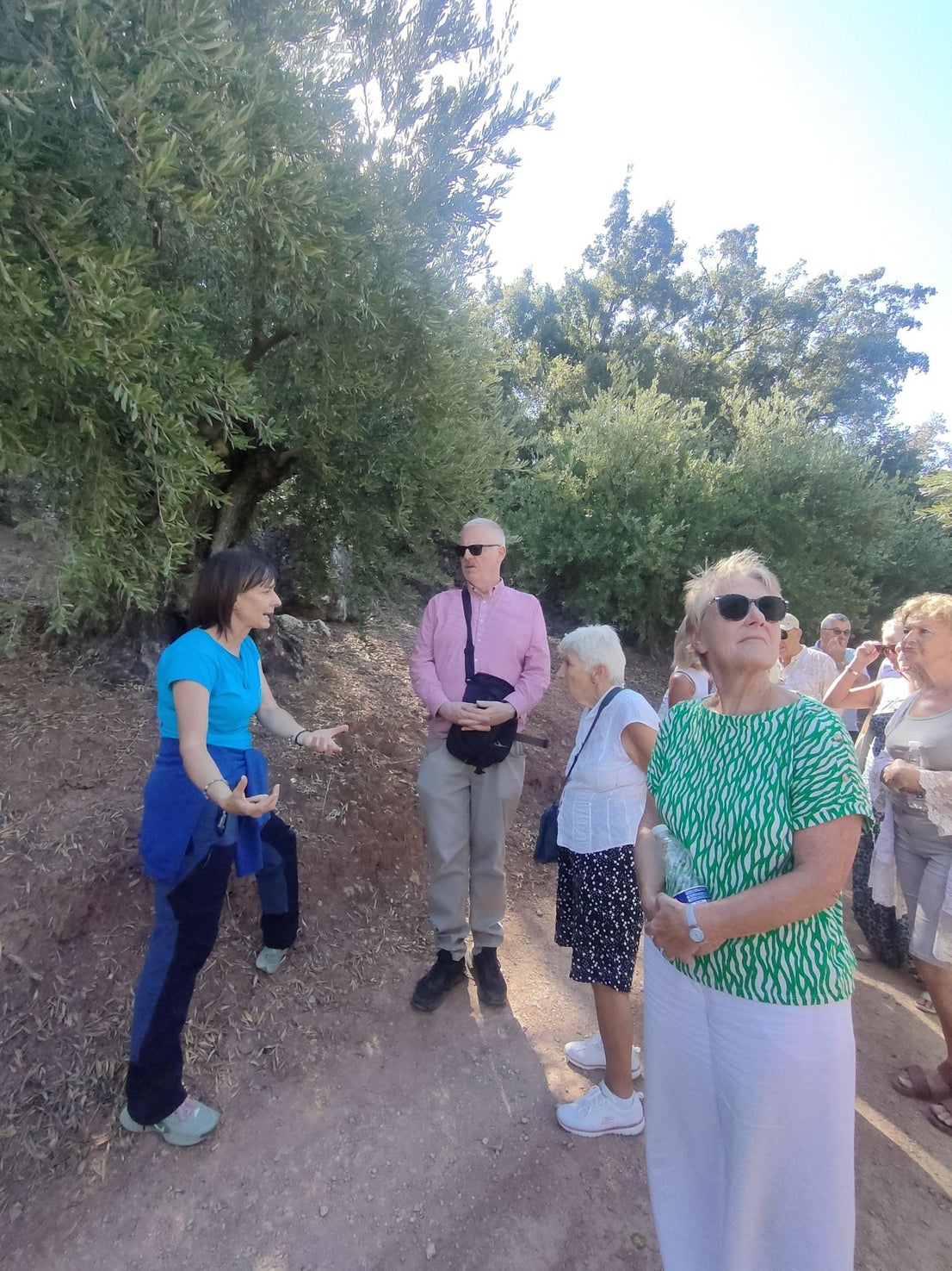 Discovering the delights of Cordoba's Subbética