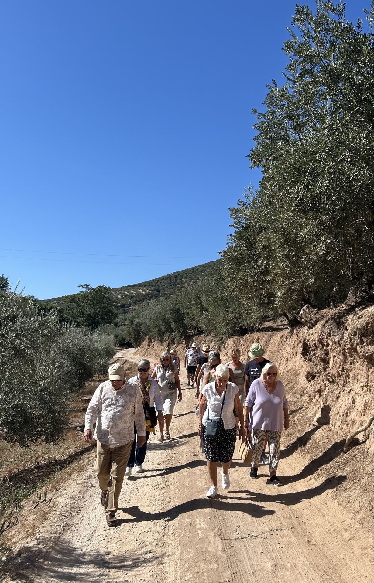 Discovering the delights of Cordoba&#039;s Subbética