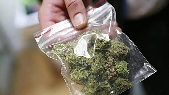 Spanish government approves use of cannabis for medical purposes