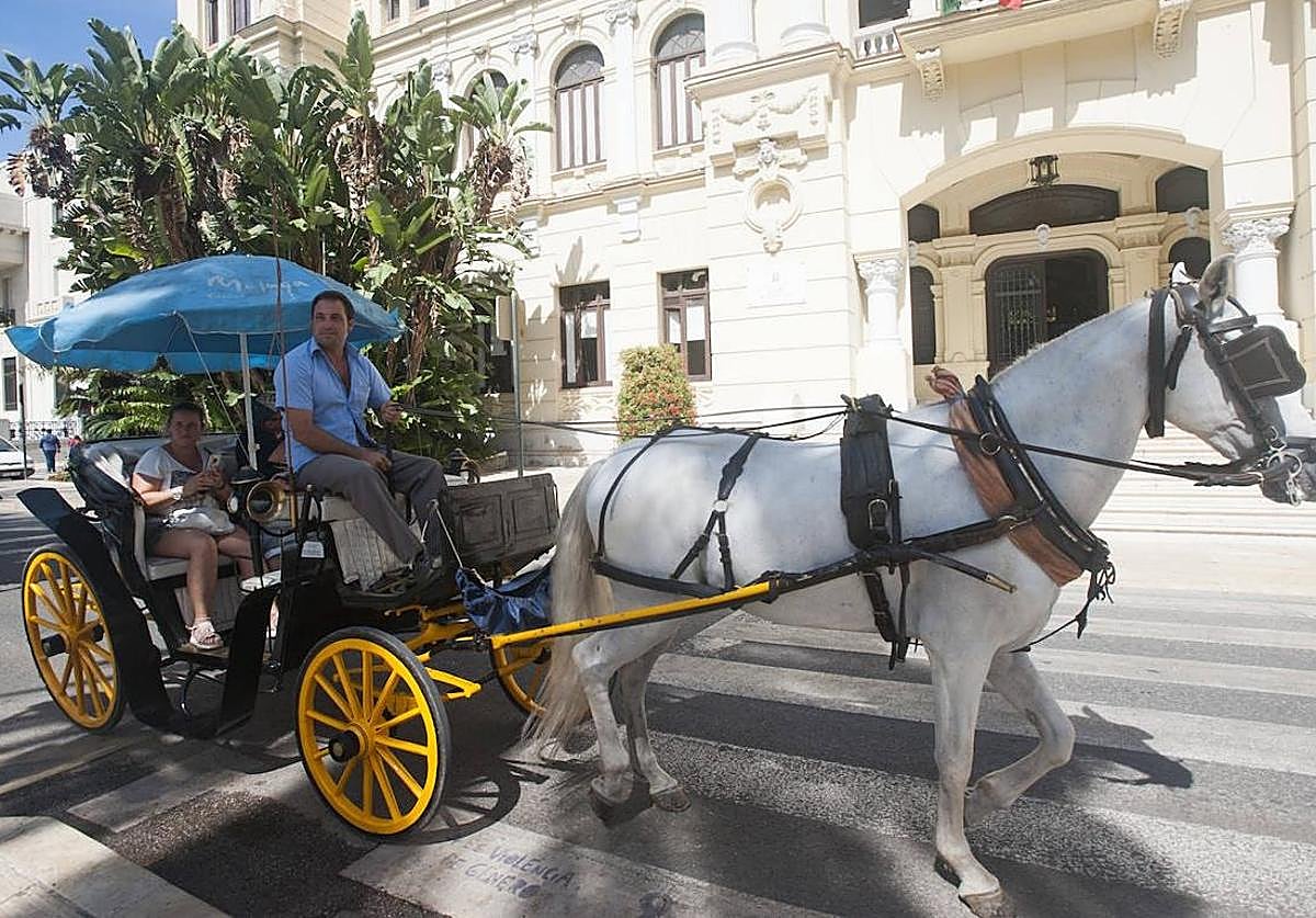 Malaga mayor defends ban on horse-drawn carriages: 'There are far better options than the slaughter of the animals'