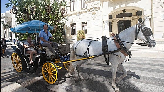 Malaga mayor defends ban on horse-drawn carriages: 'There are far better options than the slaughter of the animals'