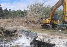 Mijas town hall starts the process earlier this year.