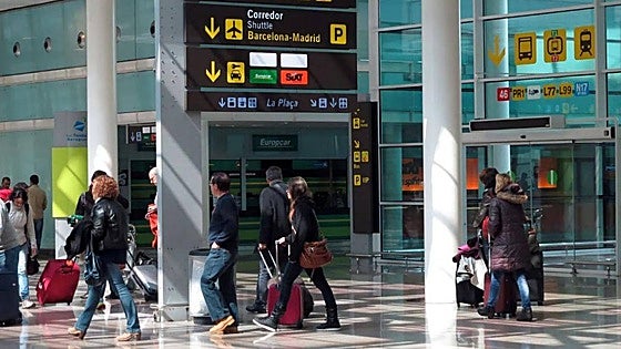 European court rules that compensation for lost dog should be same as a suitcase