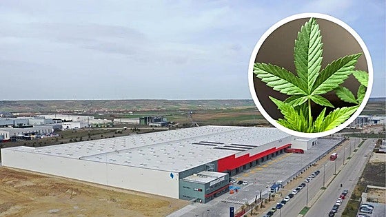 Employee sacked for taking cake laced with marijuana into work to celebrate his birthday