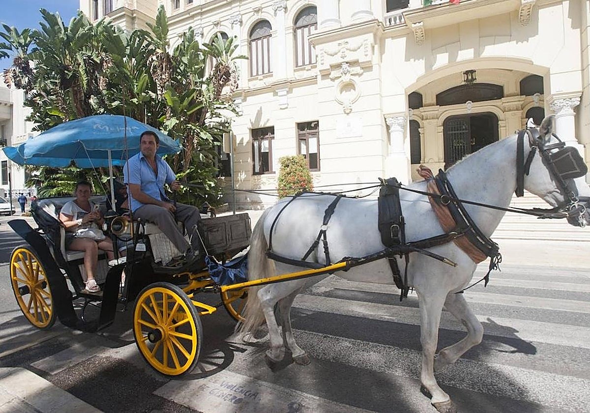 The iconic horse-drawn carriages are a thing of the past in Malaga city.