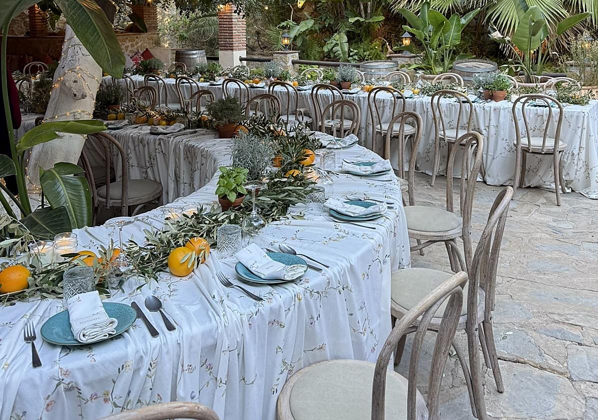 The Art of Luxury on the Costa del Sol: Experiences that Redefine Elegance