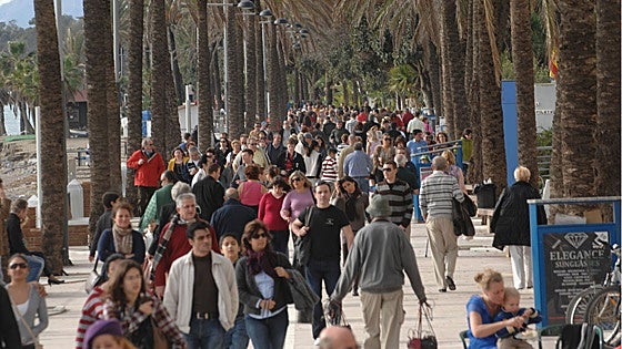 This is how much the population of Marbella is growing every day