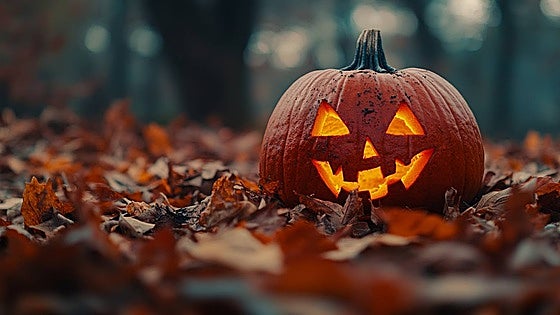 Seven restaurants for a terrifying Halloween dinner in Malaga province