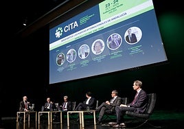 The panel dedicated to airports at the transport infrastructure conference.