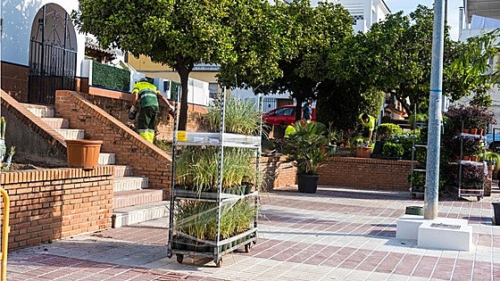 Marbella renovates San Pedro market square with sustainable landscape design