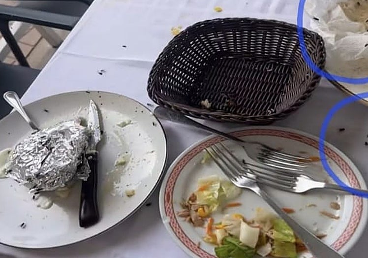 One of the fly-covered terraces in El Sexmo last week.