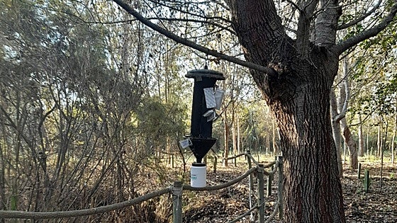 Ten new monitoring traps installed as beetles ravage Granada's coastal farms