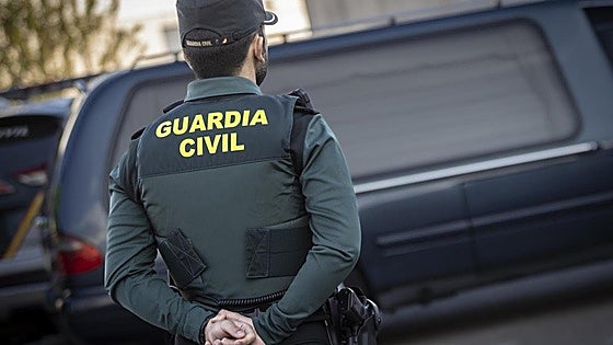 Two burglars arrested for breaking into Mijas house and 'brutally' beating 80-year-old woman