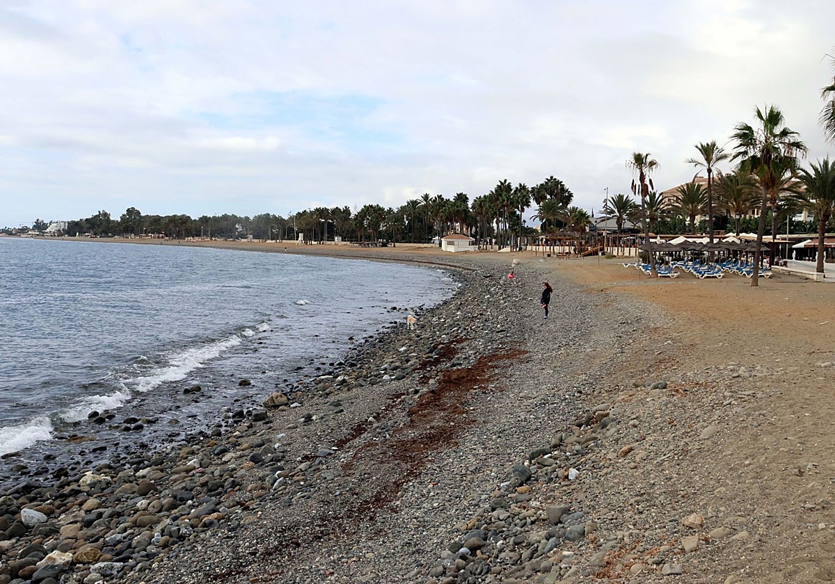 Spain's coastal authority prepares tender for stabilisation of Marbella beaches