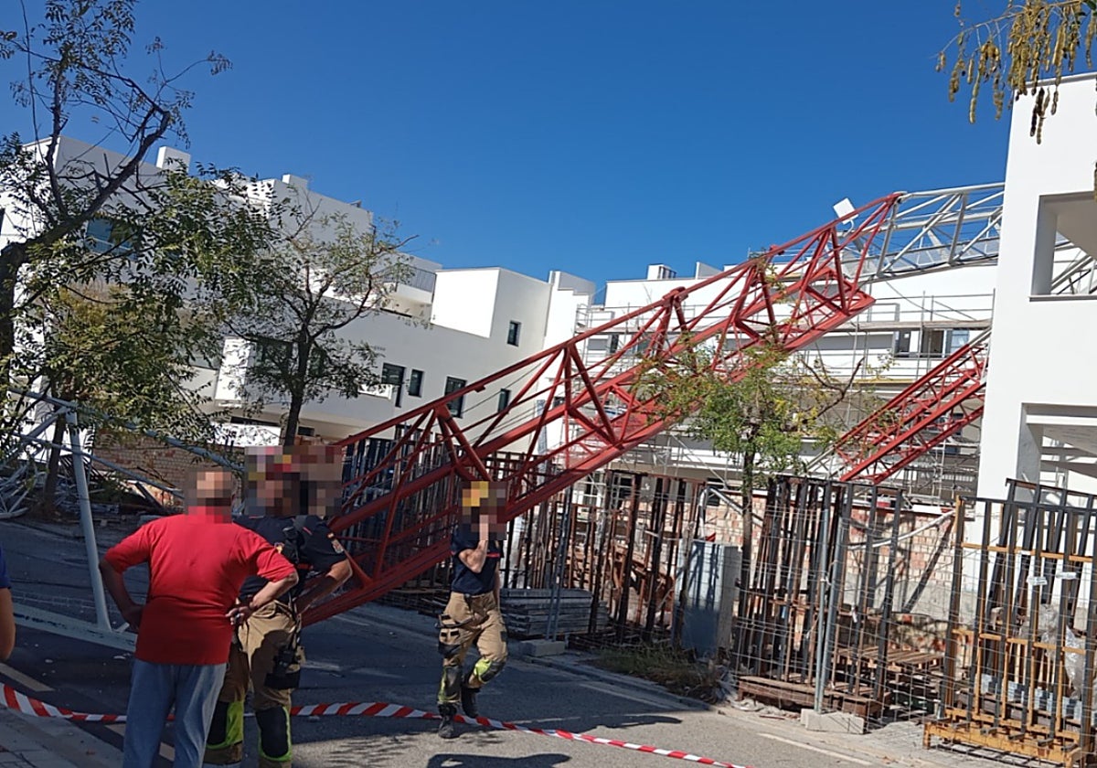 The crane that toppled over onto the building.