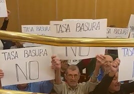 Protesters with 'no to rubbish tax' placards.
