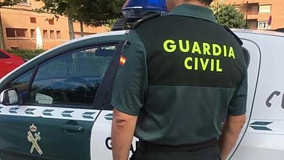 Almost 30 hunting dogs found dead in animal transport van on board ship in Spain
