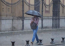 More rain on its way to southern Spain: Aemet warns of 'locally heavy showers accompanied by thunderstorms'