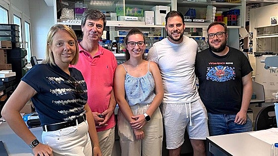 Malaga researchers help identify molecules responsible for heart cell regeneration