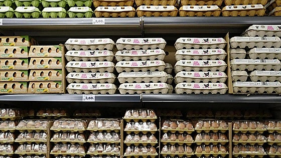 Price of eggs soars by 31% as bird flu crisis worsens in Spain