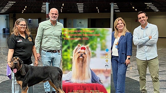International dog show returns to Torremolinos this weekend