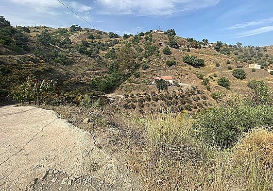 Five years in prison for killing his 76-year-old neighbour with iron bar in Axarquía village