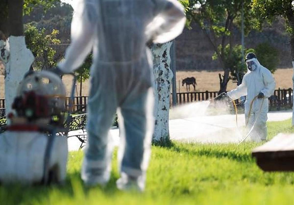 These are the 11 municipalities that are now on alert for West Nile Virus in Andalucía