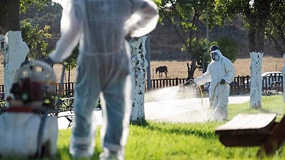 These are the 11 municipalities that are now on alert for West Nile Virus in Andalucía