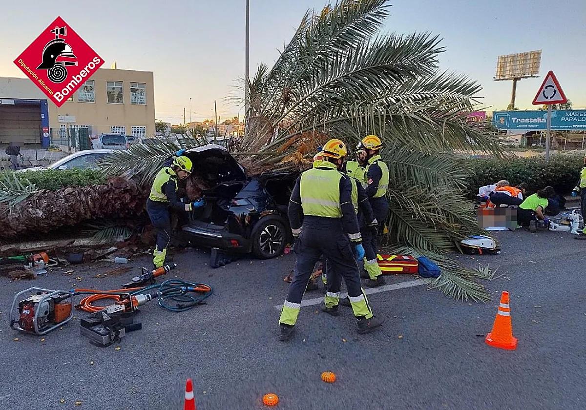 Young man dies after palm tree crushes his car while he was driving on Spain's Costa Blanca