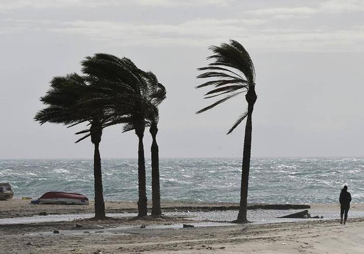 New weather front will bring rain and warnings for strong winds and rough seas to southern Spain