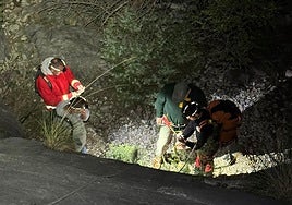 Photo from the rescue operation led by the Marbella fire brigade.
