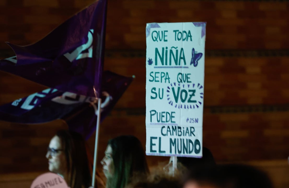 Thousands of people march through Malaga in protest against gender violence, in pictures