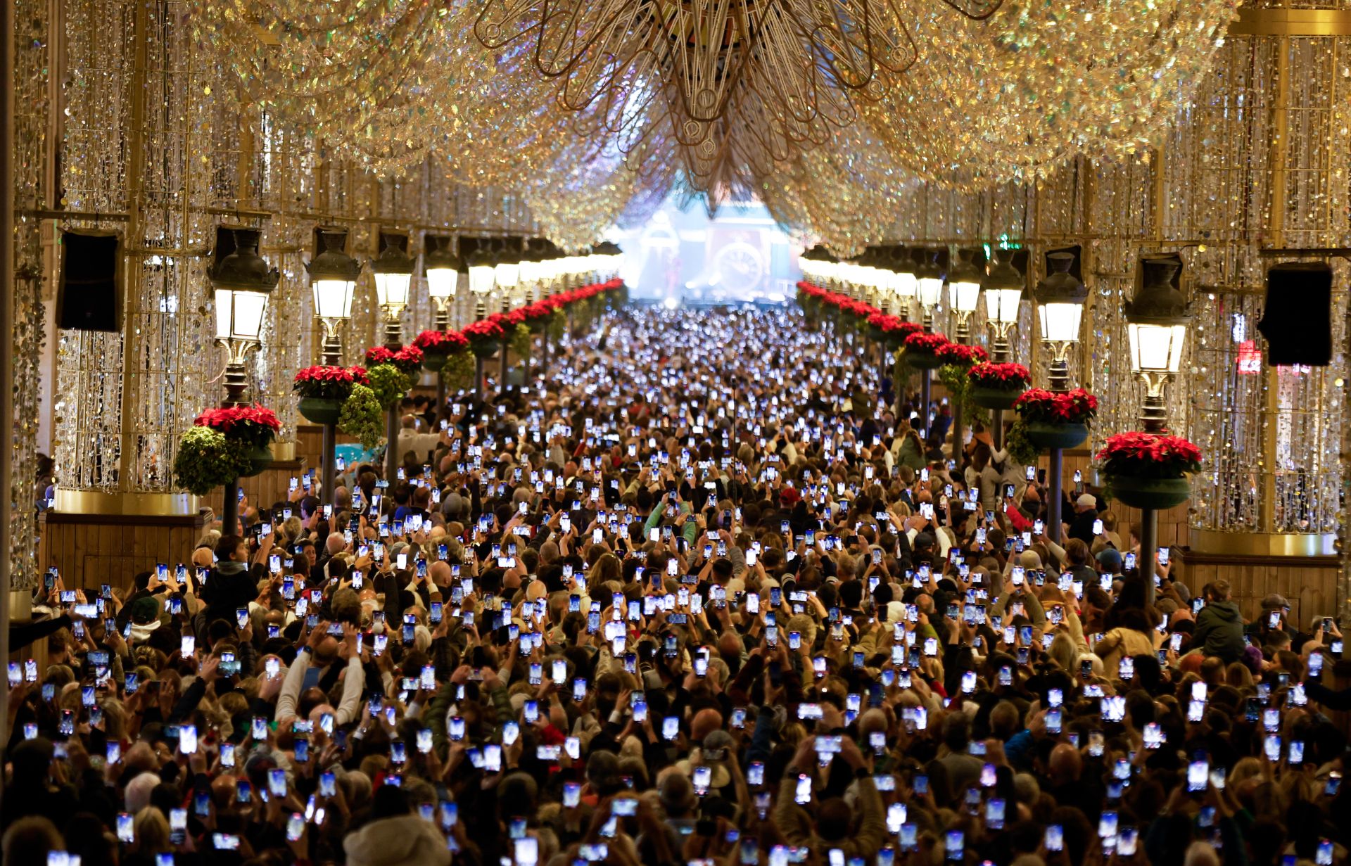 In pictures: Malaga lights up for Christmas