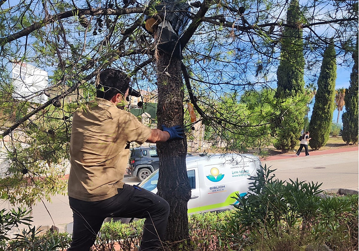 The work is carried out regularly during the autumn months.