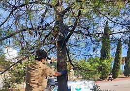 The work is carried out regularly during the autumn months.