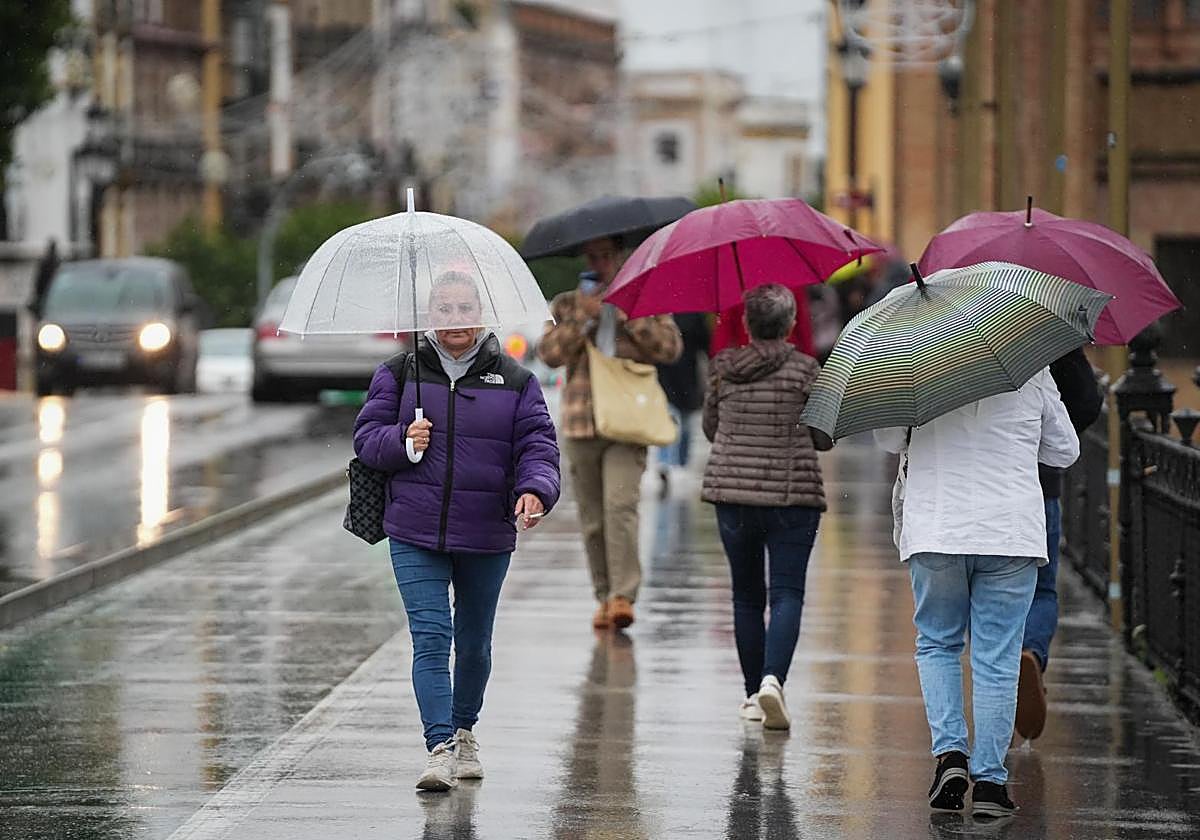 Train of storms at the start of December: four fronts to bring rain to Andalucía all week long